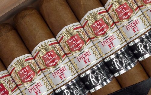 Hoyo de Monterrey Reserva Zigarren der Serie Hoyo de Monterrey Reserva