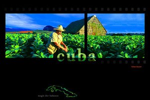 Zigarrenzubehör Medien Poster Habanos Tobias Hauser Veguero im Tabakfeld  711670