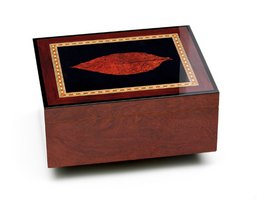 Zigarrenzubehör Humidor  Adorini Medium Deluxe (ALTES Modell)