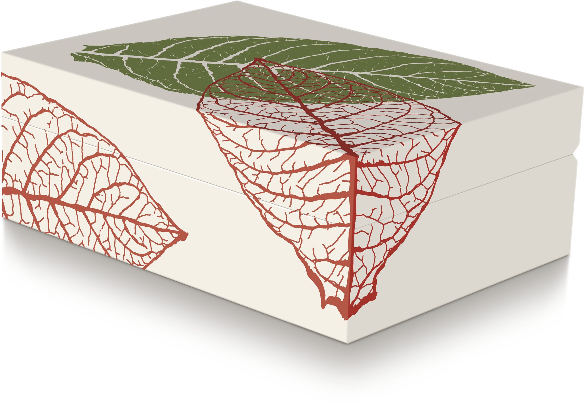 Zino graphic leaf Humidor beige (51000227)