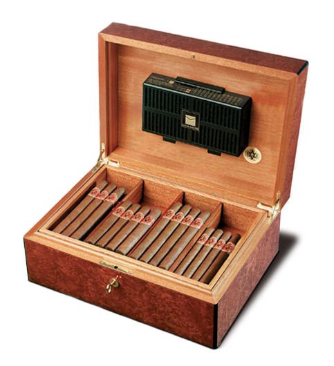 AVO Uvezian Vavona Medium