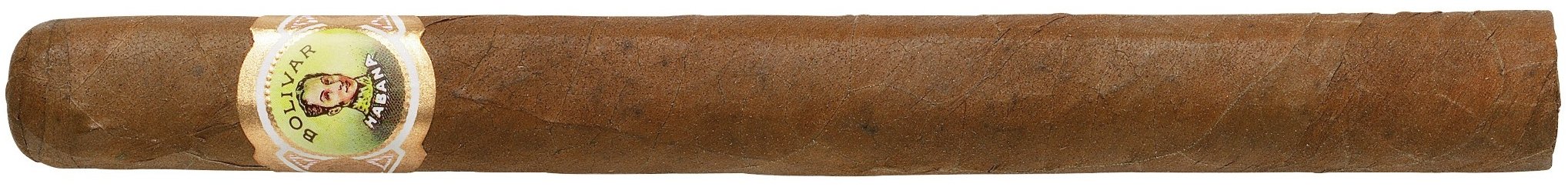 Bolivar Inmensas