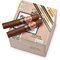 Punch Edicion Limitada Regios de Punch EL 2017 Kiste