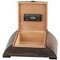 Passatore Humidor Walnuss Design für 50 Zigarren (562385)