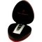 Lamborghini Hungaro Jetflame silber (910460)_Case