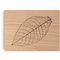 Zino Humidor Leaf Z 60 Eiche natur (51000491) Deckel