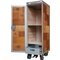 Cedar Design 1