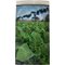 Classic Humidity Bag finest specialties from cuba schwarz (6397820) Rückseite