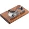 749/1SM mit Ascher