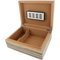 Pegasus Humidor Zebrano für 35 Zigarren (1430) offen
