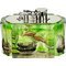 Aquarium Fish Green * Perspektive hinten