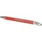 Cigarspear rot (6102) 02