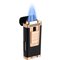 Palio Polaris schwarz rosegold (PAL-CL-3000BKRS) Flamme
