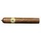 Trinidad Robusto T