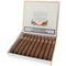 Cuaba Salomones 10er offen