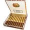 Bolivar New Gold Medal Kiste offen