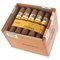 Cohiba Zigarren Medio Siglo 25er offen