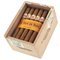 Hoyo de Monterrey Hoyo Du Maire 25er offen