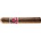 Hoyo de Monterrey Hoyo De Rio Seco AT