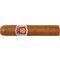 Hoyo de Monterrey Petit Robusto