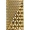 Double Fire X gold hinten