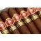 H. Upmann Edicion Limitada Robusto (EL 2012) Detailbild