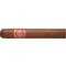 Partagas Shorts