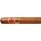 Romeo y Julieta Short Churchill