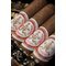 Gran Reserva Hoyo de Monterrey Double Corona Cosecha 2013 Stimmungsbild 3