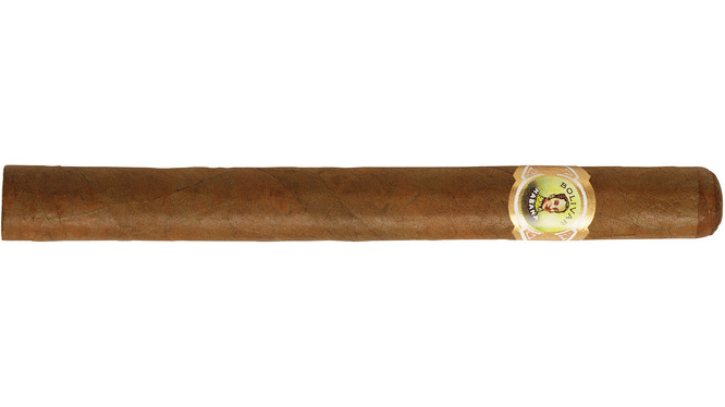 Bolivar Coronas Gigantes Zigarre