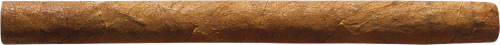 Ein Cohiba Mini Zigarillo