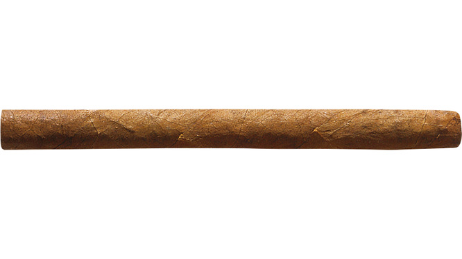 Ein Cohiba Mini Zigarillo