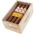 Hoyo de Monterrey Epicure Especial offene Kiste mit 10 Zigarren
