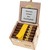 Trinidad Zigarren Reyes 24 Stück / Kiste