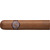 Montecristo Petit Edmundo kubanische Zigarre