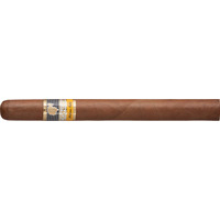 Cohiba Siglo V Zigarre