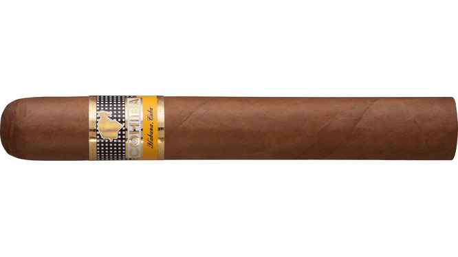 Cohiba Siglo VI Zigarre