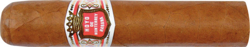 Hoyo de Monterrey Petit Robusto Zigarre